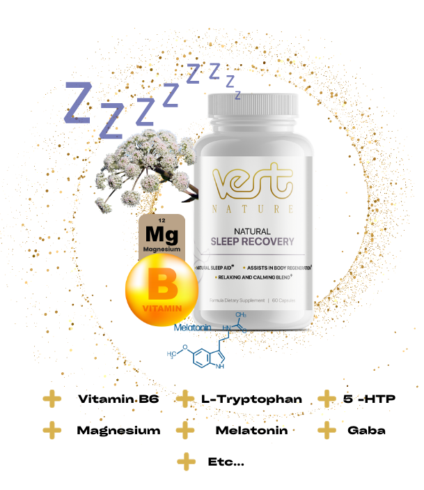 Natural Sleep Recovery