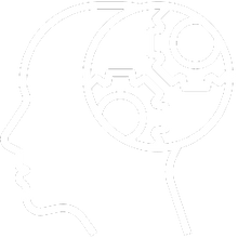 Cognitive Function