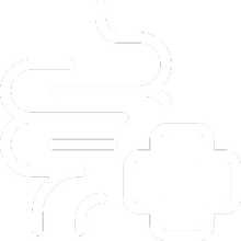 Gut Health