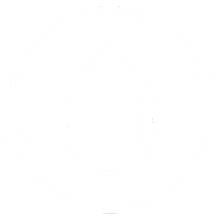 Blood Sugar Regulation